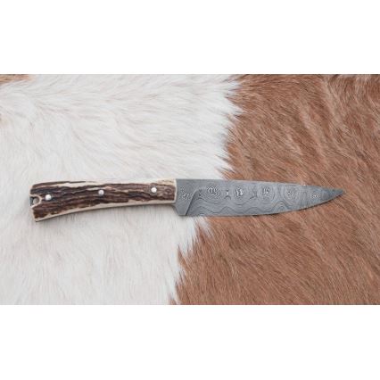 Metsästyspuukko damaskiterällä, taitettava sahalla, 12 cm, peuran sarvi