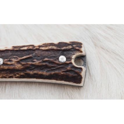 Metsästyspuukko damaskiterällä, taitettava sahalla, 12 cm, peuran sarvi
