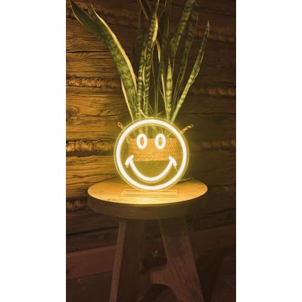 2Kids Toys - LED Neon pöytä koriste LED/5W/USB hymynaama