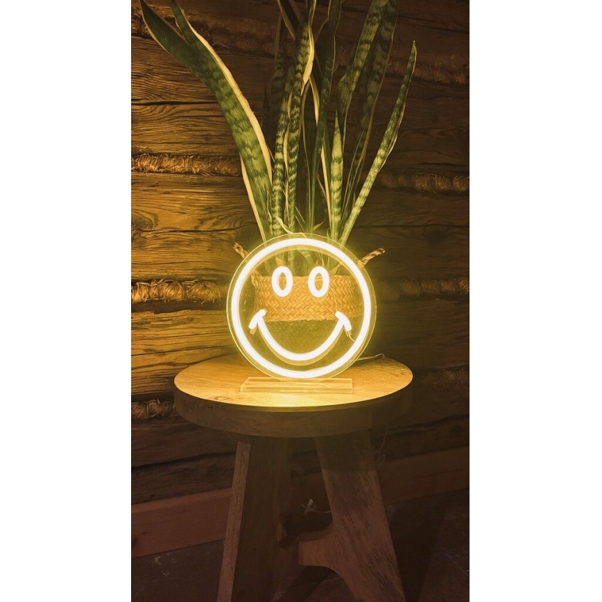 2Kids Toys - LED Neon pöytä koriste LED/5W/USB hymynaama