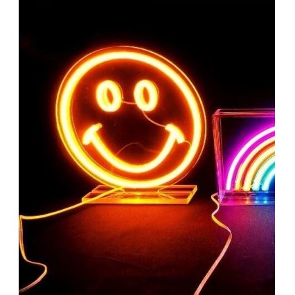 2Kids Toys - LED Neon pöytä koriste LED/5W/USB hymynaama