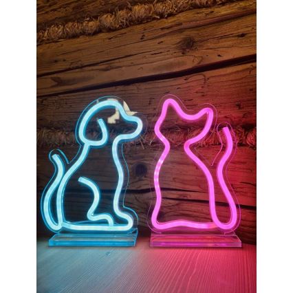 2Kids Toys - LED Neon pöytä koriste LED/5W/USB kissa