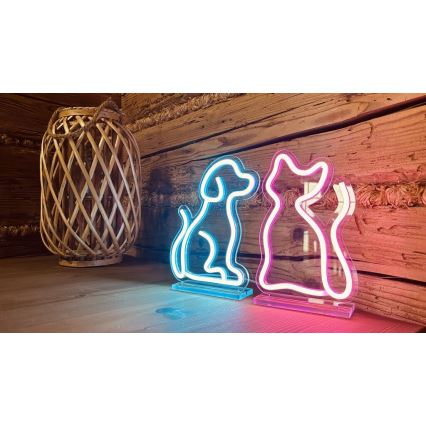 2Kids Toys - LED Neon pöytä koriste LED/5W/USB kissa