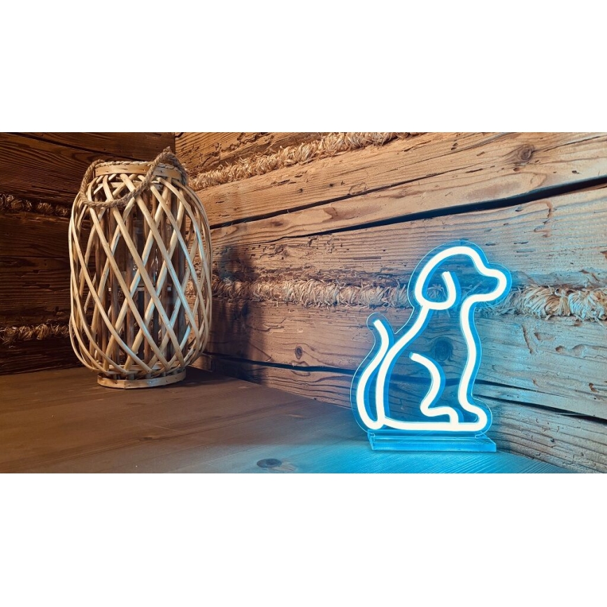 2Kids Toys - LED Neon pöytä koriste LED/5W/USB koira