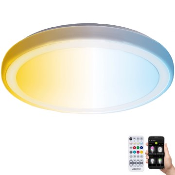 Aigostar - Himmennettävä kylpyhuoneen LED-kattovalaisin MESH Älykäs LED/24W/230V 3000-6500K IP44 + kauko-ohjaus