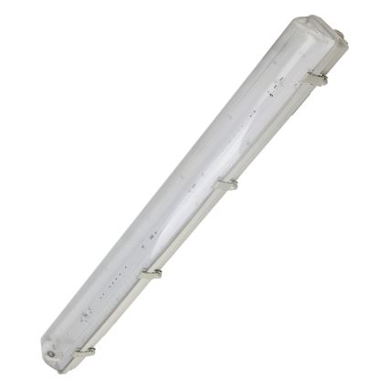 Aigostar - Kestävä loistelamppu T8 2xG13/20W/230V IP65