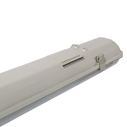 Aigostar - Kestävä loistelamppu T8 2xG13/20W/230V IP65