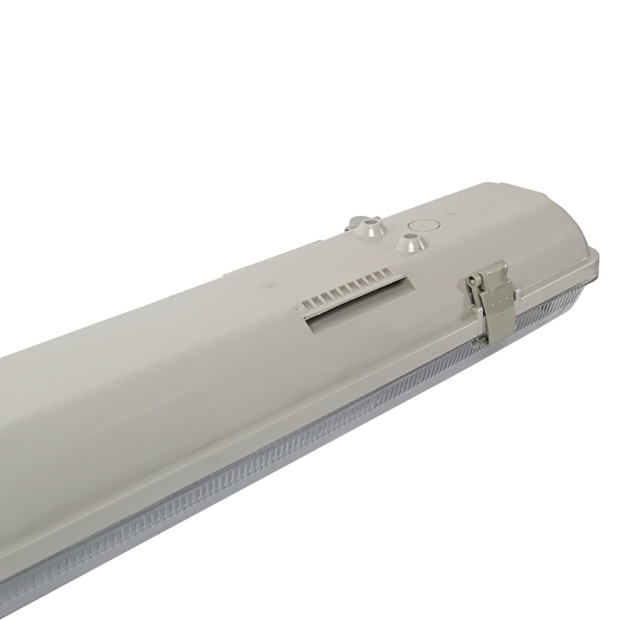 Aigostar - Kestävä loistelamppu T8 2xG13/20W/230V IP65