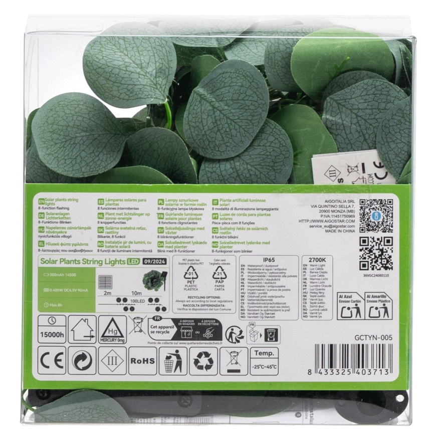 Aigostar - LED-aurinkoketju 100xLED/12m IP65 lämpimänvalkoinen eukalyptus