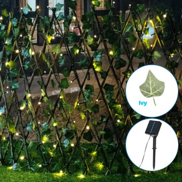Aigostar - LED-aurinkoketju 102xLED/2x0,7m IP65 lämpimänvalkoinen ivy