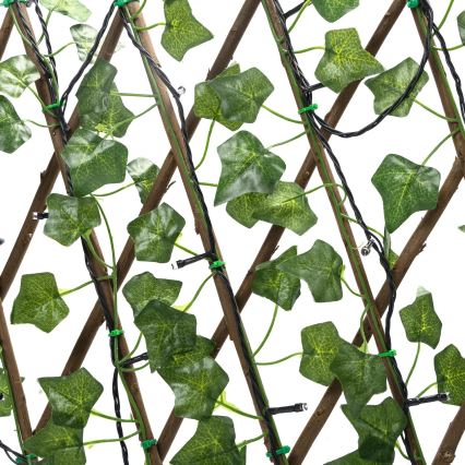 Aigostar - LED-aurinkoketju 102xLED/2x0,7m IP65 lämpimänvalkoinen ivy