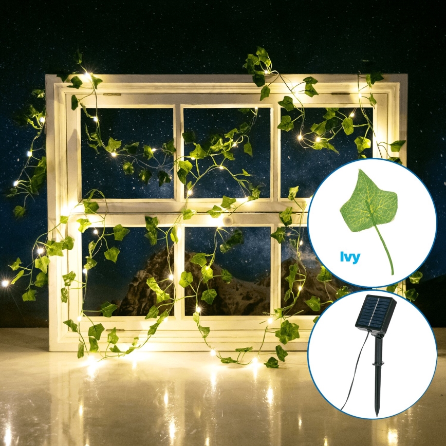 Aigostar - LED-aurinkoketju 50xLED/7m IP65 lämpimänvalkoinen ivy