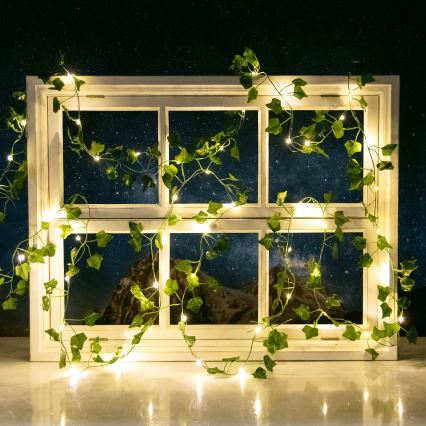 Aigostar - LED-aurinkoketju 50xLED/7m IP65 lämpimänvalkoinen ivy