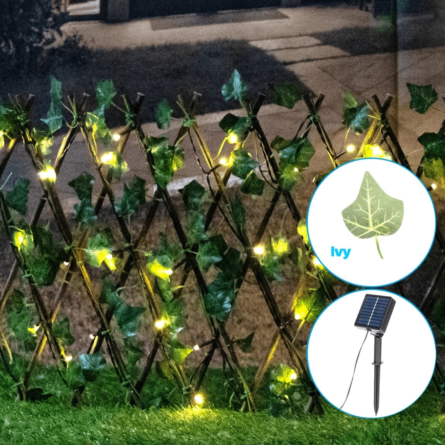 Aigostar - LED-aurinkoketju 56xLED/2x0,4m IP65 lämpimänvalkoinen ivy