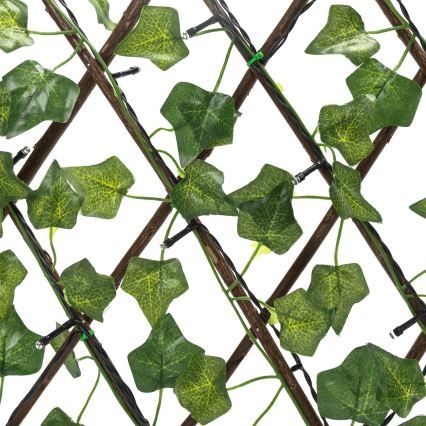 Aigostar - LED-aurinkoketju 56xLED/2x0,4m IP65 lämpimänvalkoinen ivy