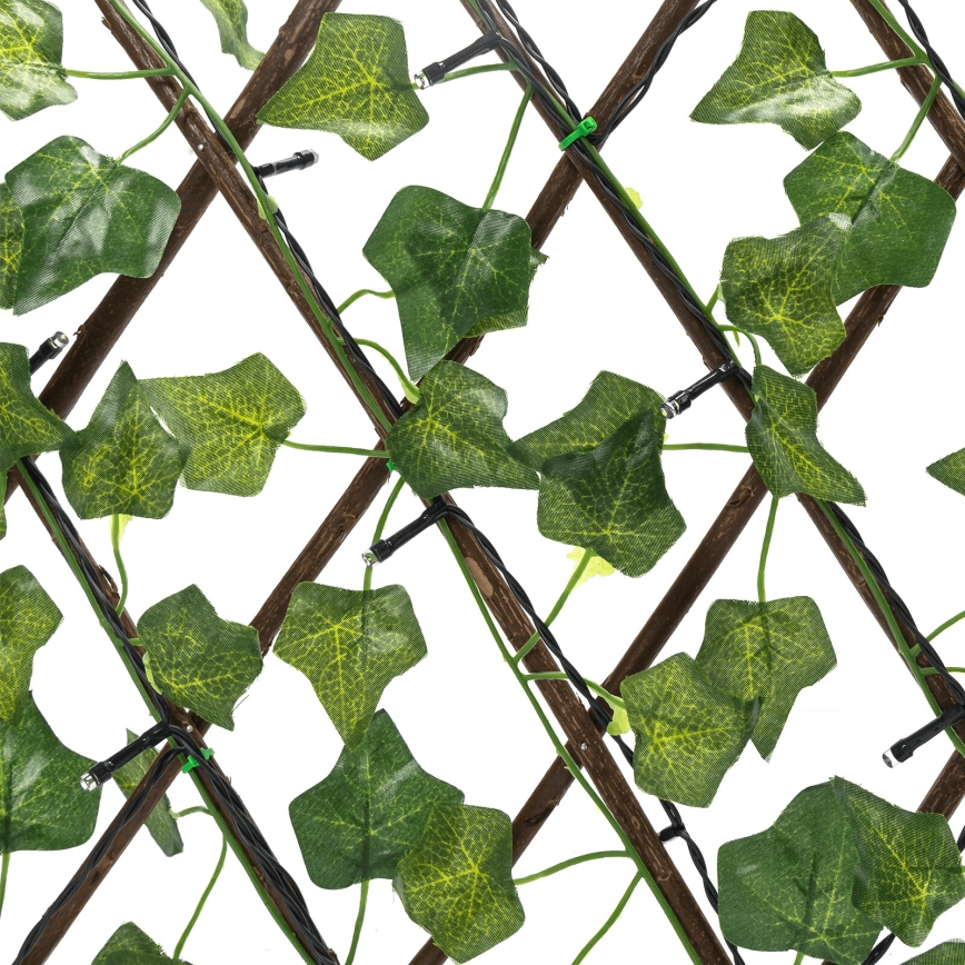 Aigostar - LED-aurinkoketju 56xLED/2x0,4m IP65 lämpimänvalkoinen ivy