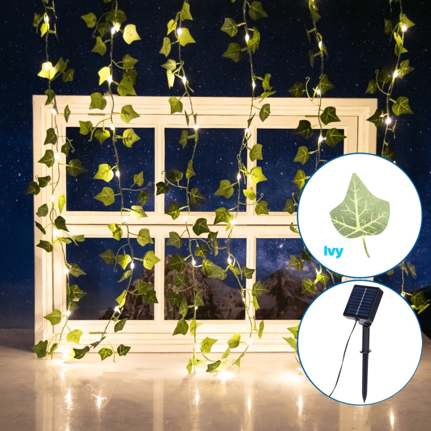 Aigostar - LED-aurinkoketju 70xLED/4x1m IP65 lämpimänvalkoinen ivy