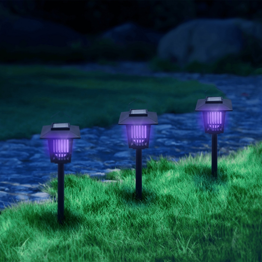 Aigostar - LED-aurinkolamppu hyönteisloukun kanssa LED/0,03W/1,2V 55,2cm musta 6500K IP44