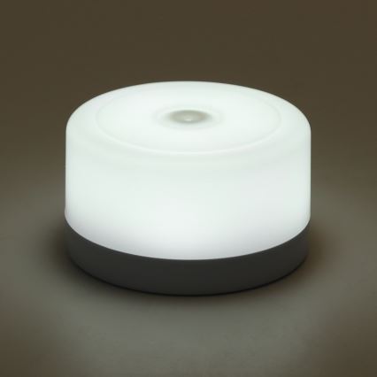Aigostar - LED Himmennettävä kannettava yövalo LED/1W/5V 6500K + USB