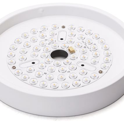Aigostar - LED himmennettävä kattovalo LED/24W/230V 2700-6500K halkaisija 165 cm + kauko-ohjaus valkoinen