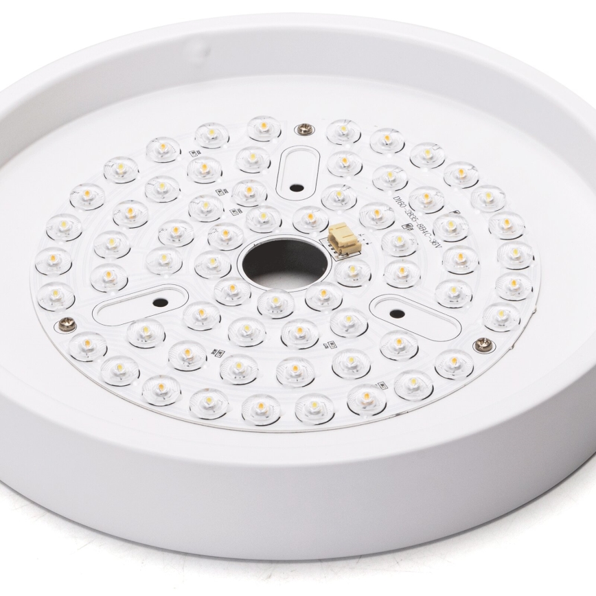 Aigostar - LED himmennettävä kattovalo LED/24W/230V 2700-6500K halkaisija 165 cm + kauko-ohjaus valkoinen