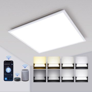 Aigostar - LED Himmennettävä upotettava paneeli MESH LED/36W/230V 2700-6500K 60x60 cm
