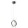 Aigostar - LED-kattokruunu johdossa LED/15W/230V 6500K musta