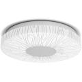 Aigostar - LED-kattovalaisin LED/12W/230V 3000K halkaisija 26cm