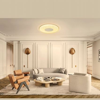 Aigostar - LED-kattovalaisin LED/12W/230V 3000K halkaisija 26cm