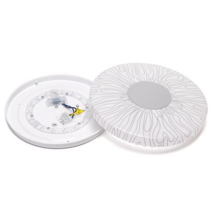 Aigostar - LED-kattovalaisin LED/12W/230V 6500K halkaisija 26cm