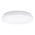Aigostar - LED-kattovalaisin LED/24W/230V 3000K