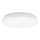 Aigostar - LED-kattovalaisin LED/24W/230V 3000K
