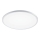 Aigostar - LED-kattovalaisin LED/24W/230V 6500K halkaisija 42 cm