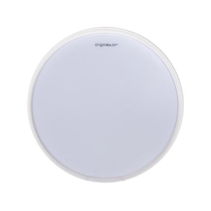 Aigostar - LED Kattovalo LED/12W/230V 3000K d. 23 cm valkoinen