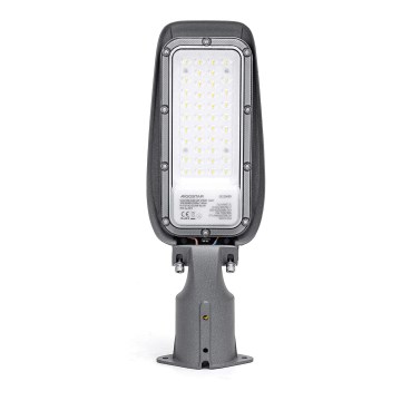 Aigostar - LED-katuvalo LED/30W/230V 6500K IP65