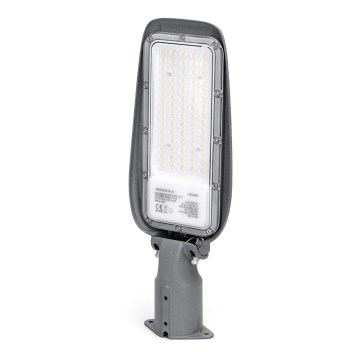 Aigostar - LED-katuvalo LED/50W/230V 6500K IP65