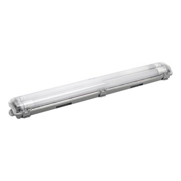 Aigostar - LED-putkityövalo 2xG13/9W/230V 4000K 66,6 cm IP65