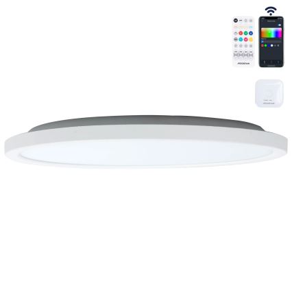 Aigostar - LED RGBW Himmennettävä kattovalo MESH LED/24W/230V 3000-6500K valkoinen + kauko-ohjaus