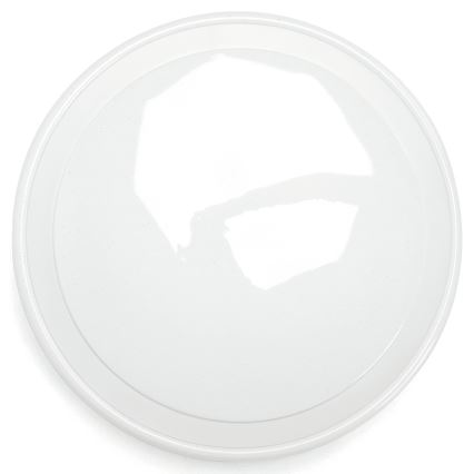 Aigostar - LED RGBW Himmennettävä kylpyhuoneen kattovalaisin MESH Älykäs LED/24W/230V 3000-6500K IP44 + kauko-ohjaus