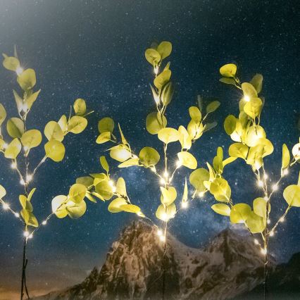 Aigostar - LED Solar koriste 60xLED/3,5m IP65 lämpimänvalkoinen eukalyptus