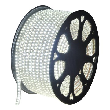 Aigostar - LED-ulkonauha 50m LED/350W/230V 6500K IP65