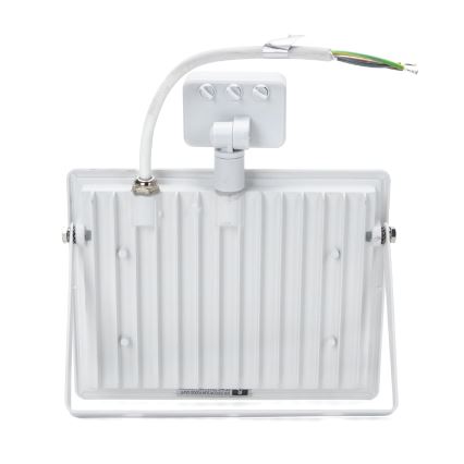 Aigostar - LED-valonheitin anturilla LED/50W/230V 6400K IP65 valkoinen
