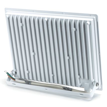Aigostar - LED-valonheitin LED/100W/230V 4000 IP65