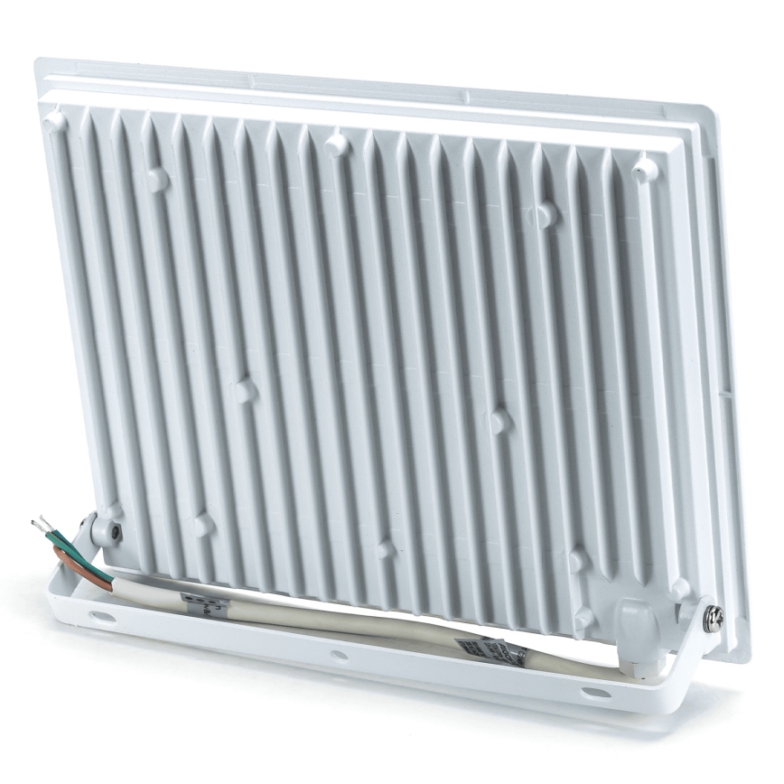 Aigostar - LED-valonheitin LED/100W/230V 4000 IP65