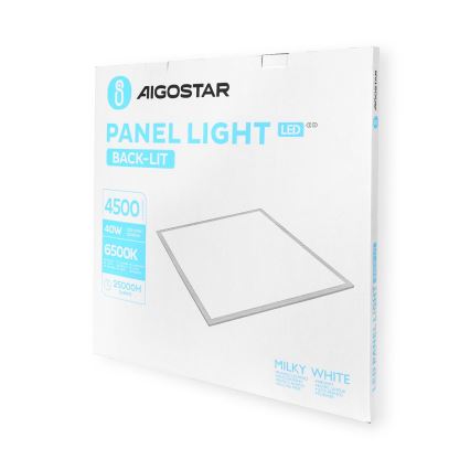 Aigostar - Riippuva LED-kattopaneeli LED/40W/230V 6500K 60x60cm valkoinen