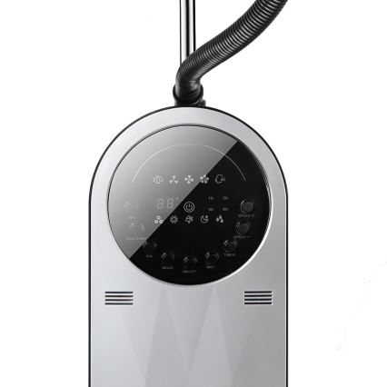 Aigostar - Seisova tuuletin Trimmauskampa koirille ja kissoille 95W/230V musta/harmaa + kauko-ohjaus