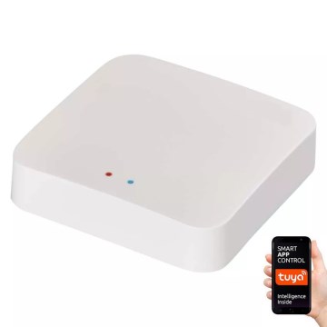 Älykäs yhdyskäytävä GoSmart ZigBee 3.0 5V Wi-Fi