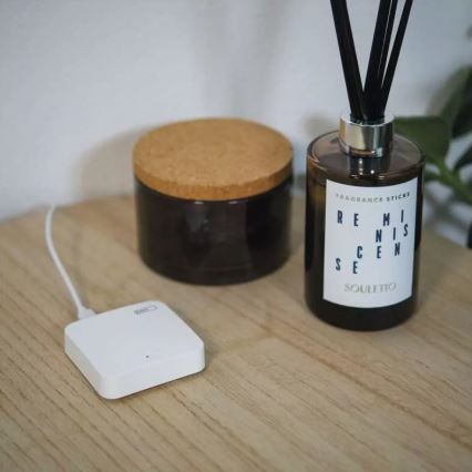 Älykäs yhdyskäytävä GoSmart ZigBee 3.0 5V Wi-Fi
