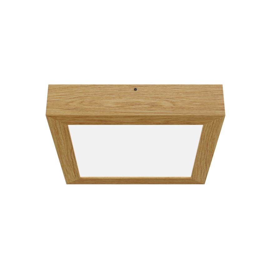APLED - LED-kattovalo QUADRA LED/24W/230V tammi