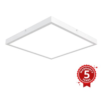 APLED - LED Pinta-asennettava paneeli  QUADRA LED/40W/230V 4000K 60x60cm IP41